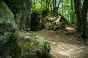 Bejgli égető családi túra 2025. január 11-én 9:30